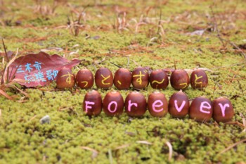 �N���b�N�ŉ摜�E�B���h�E���J���܂�