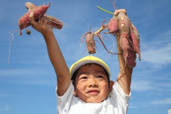 �N���b�N�ŉ摜�E�B���h�E���J���܂�