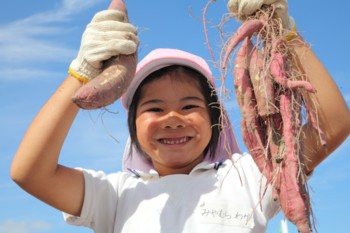 �N���b�N�ŉ摜�E�B���h�E���J���܂�