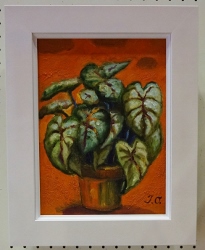 �N���b�N�ŉ摜�E�B���h�E���J���܂�