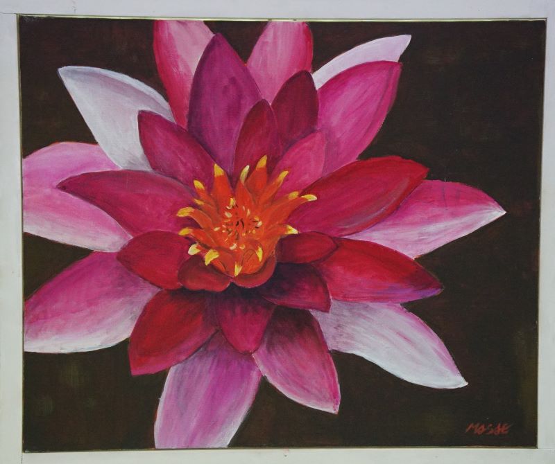 �N���b�N�ŉ摜�E�B���h�E���J���܂�