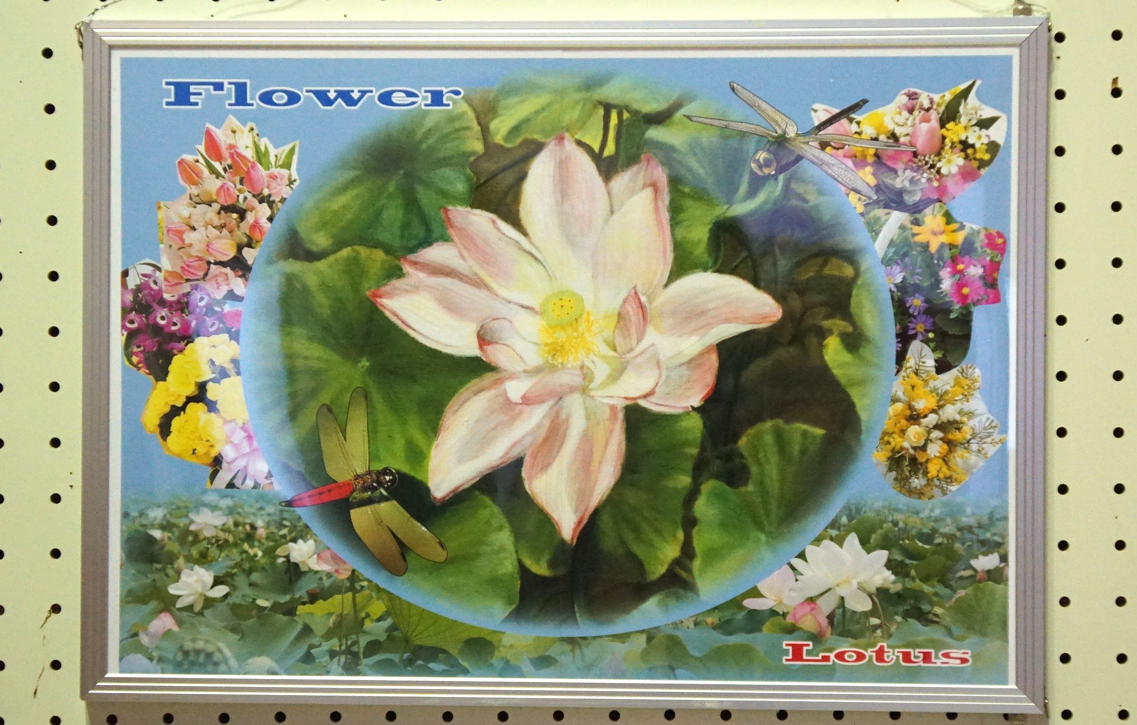 �N���b�N�ŉ摜�E�B���h�E���J���܂�